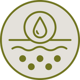 Supports Natural Lymphatic Flow